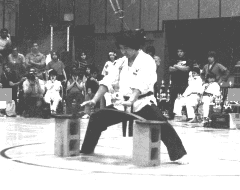 Grandmaster Yi demonstration